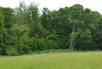 Farm land for sale near me cheap